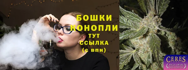 spice Богородск