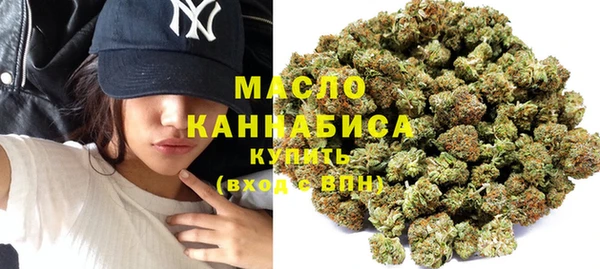 spice Богородск