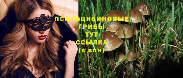 соль курить ск Богданович