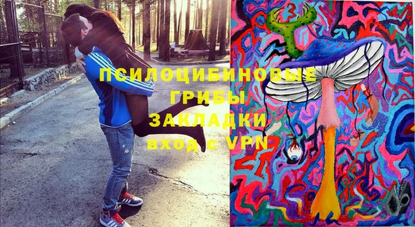 spice Богородск