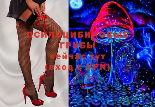 spice Богородск