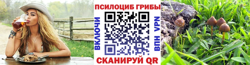 где купить наркотик  Мончегорск  Галлюциногенные грибы мухоморы 